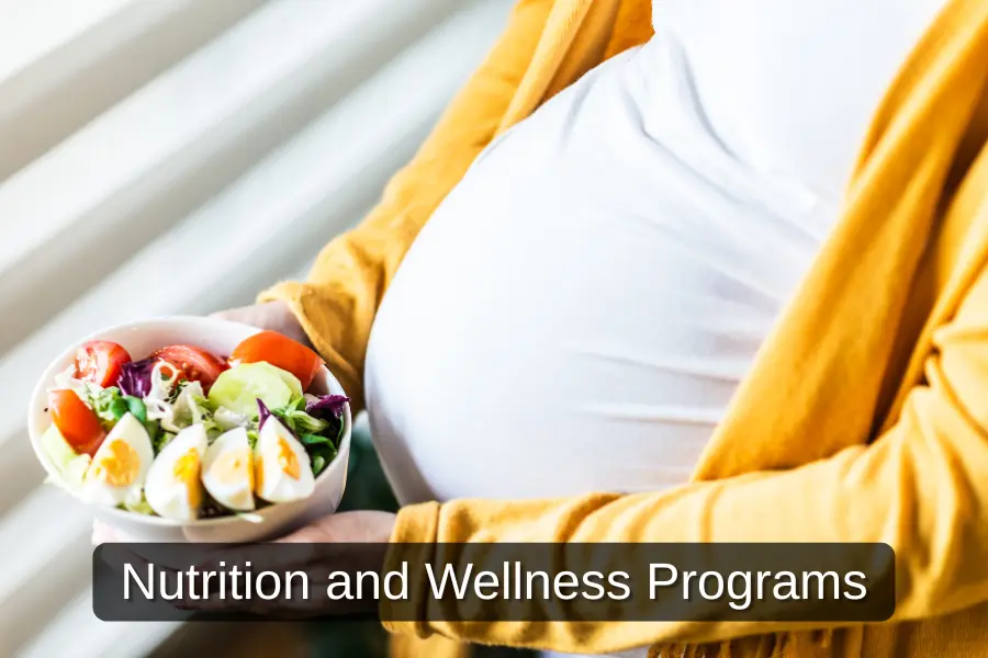 Wellness programs for surrogate mother